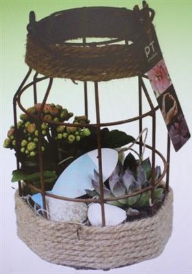 <h4>8001 HOOG REK ROND SUMMER</h4>