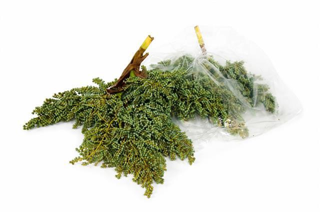 <h4>Dadels Sea 1.0 kg</h4>