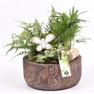 Hout schaal br. 19cm