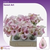 Calla Sweet Art