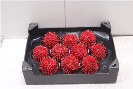 <h4>F-stekel Wax Kerst Rood</h4>
