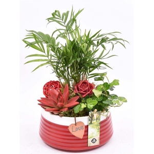 Keramiek schaal rood met label 16cm