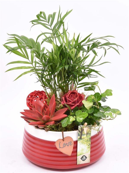 <h4>Keramiek schaal rood met label 16cm</h4>
