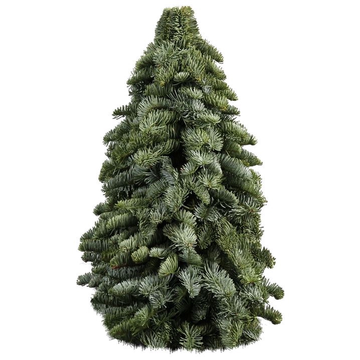 <h4>Kerstboom L6</h4>