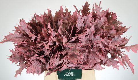 <h4>Quercus Palustris L50 Klbh. roze</h4>