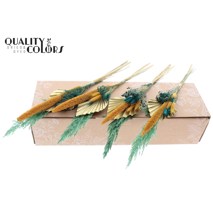 <h4>Palm Spear BQT Tropique</h4>