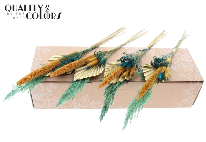 Palm Spear BQT Tropique