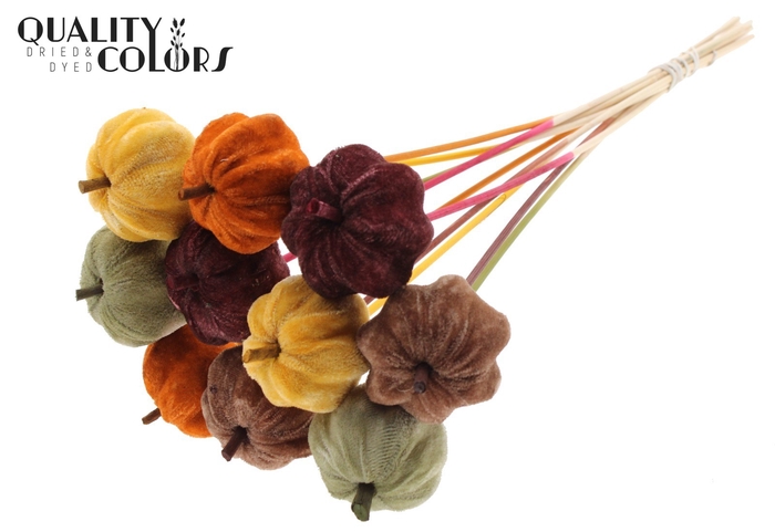 Velvet Pumpkin Ø6cm on stem Pumpkin spice