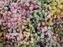 <h4>GYPS XLENCE TINTED RAINBOW</h4>