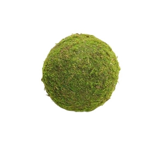 Ball Asia Moss D20