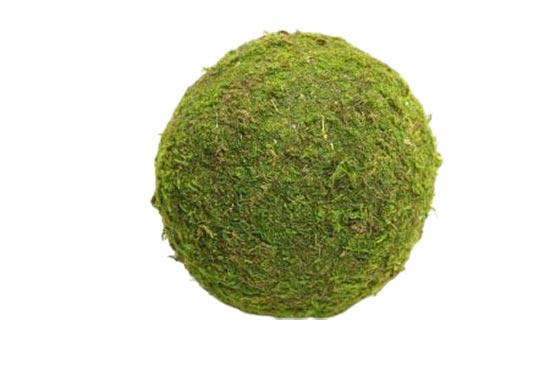 Ball Asia Moss D20