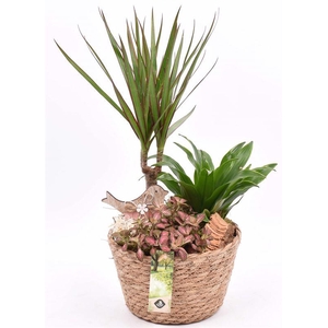 Touwmand naturel 18cm