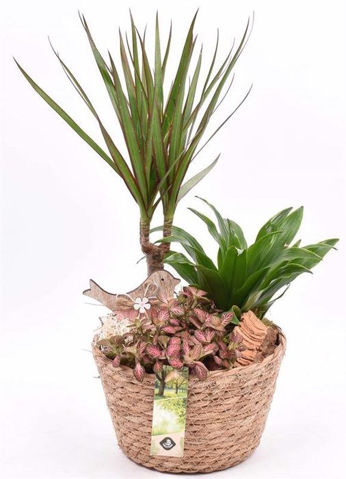 <h4>Touwmand naturel 18cm</h4>