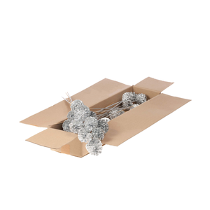 Pine C 5-7 O/s Sb Slr Glt