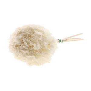 Bunch Hydrangea Pres.L30