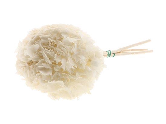 Bunch Hydrangea Pres.L30