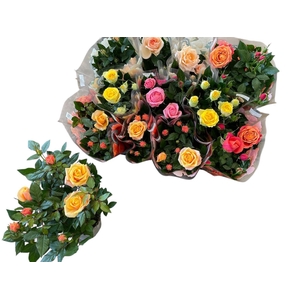 RO KORDAN GRANDE GEM