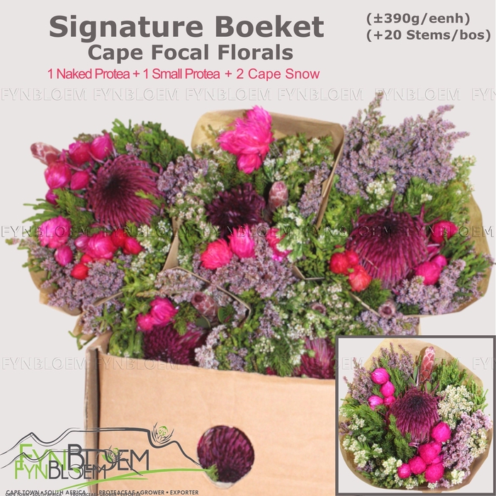 <h4>PROTEA PER BOS</h4>