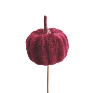 Herfst 10cm Velvet pompoen 5cm