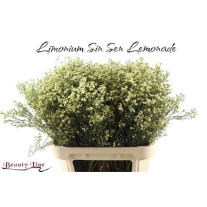 Lim Sin Sen Lemonade