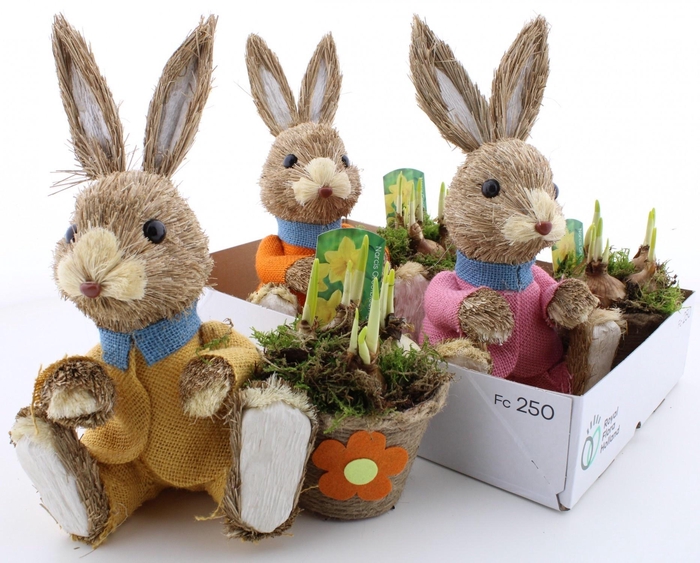 <h4>ARR N TETE A TETE</h4>