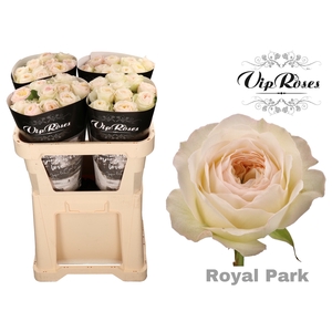 R GR ROYAL PARK