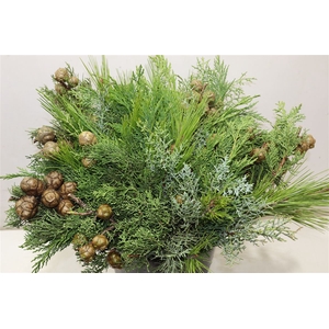 Conifeer Mix Bq (5 Stems Pb)