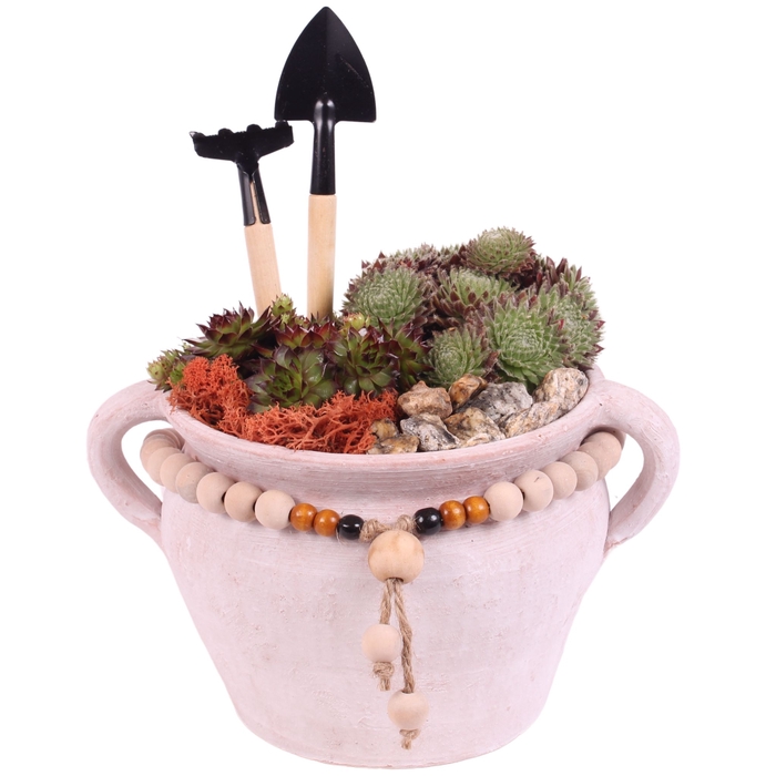 <h4>Opm Semp Arr. Outdoor Ceramic Pot Jug Beads</h4>