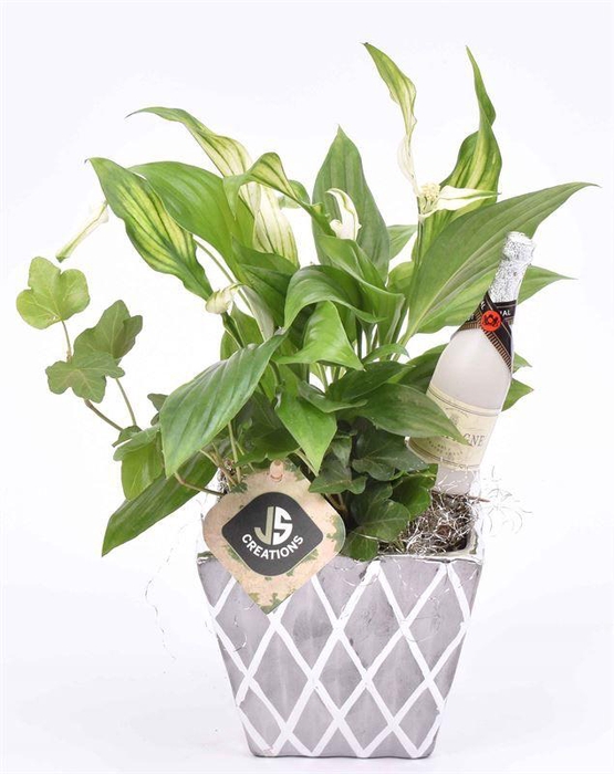 <h4>Keramiek ruit decor 11x11cm</h4>