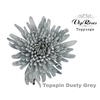 CHR G TOPSPIN DUSTY GREY