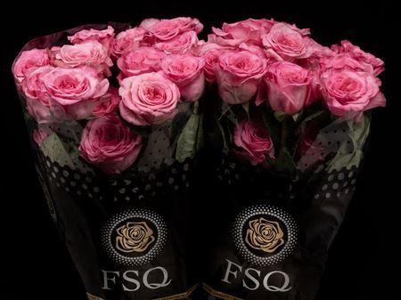 <h4>R Gr Gar Ashley Pink</h4>