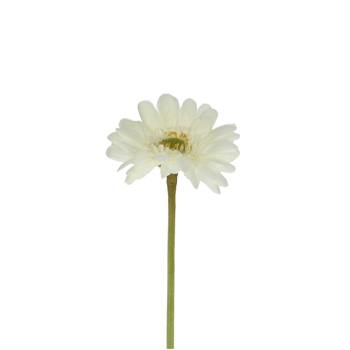 <h4>Gerbera 55cm</h4>