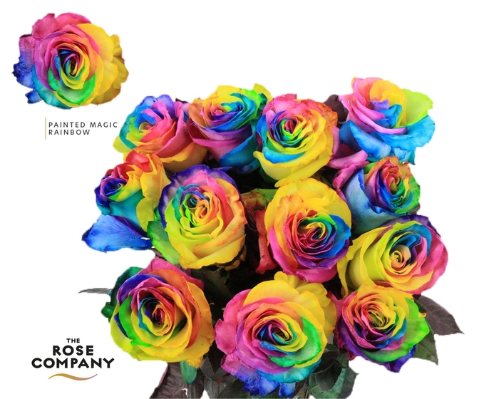 <h4>Rosa GR DYED Mondial Rainbow</h4>