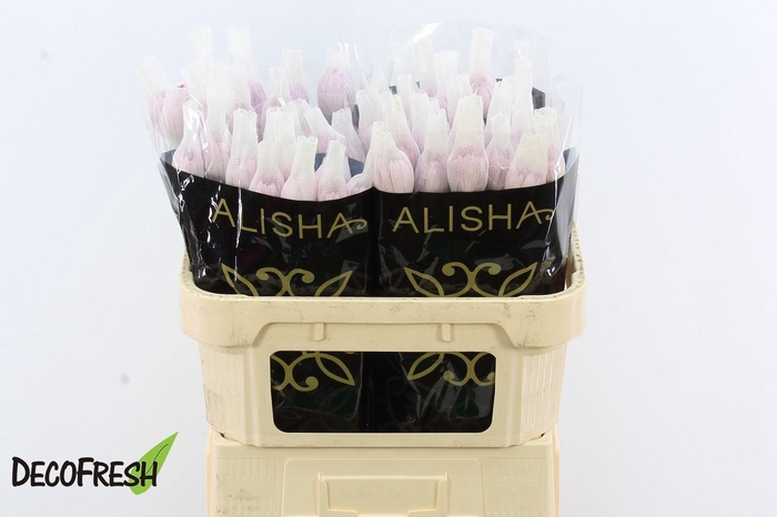 <h4>Chr g overig</h4>