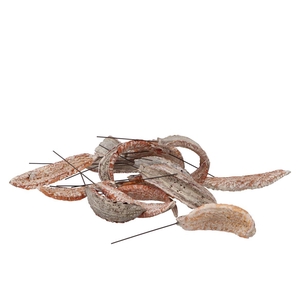 Pick Nature Estrella Natural P/50