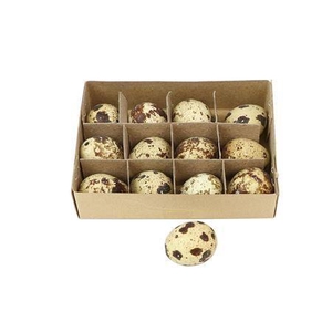 Basic Quail Egg 12pc
