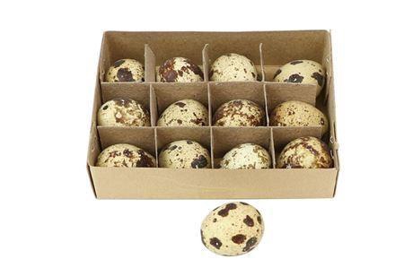 <h4>Quail Egg 12pc</h4>