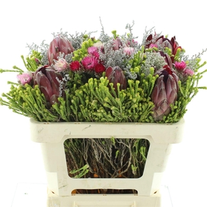 Kaaps Bouquet 2 Protea Mix