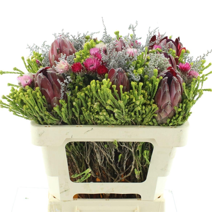 Kaaps Bouquet 2 Protea Mix