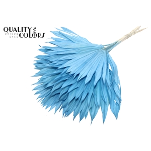Sun Spear per stem Intense Light Blue