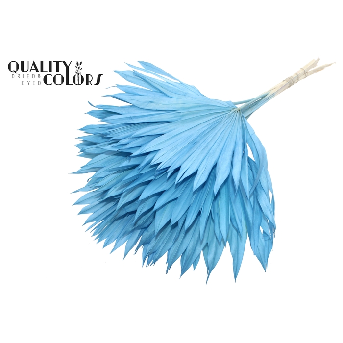 <h4>Sun Spear per stem Intense Light Blue</h4>