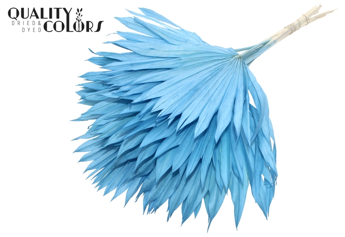 Sun Spear per stem Intense Light Blue