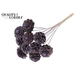 Pine cone cut 5-7cm on stem Frosted Milka