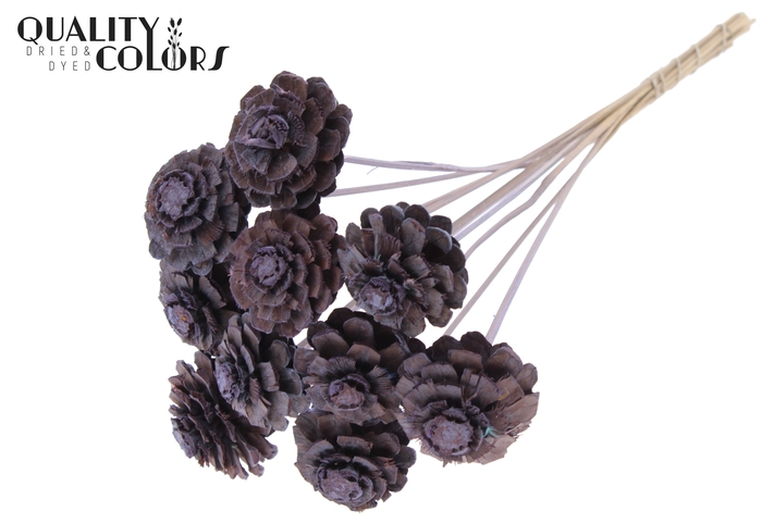 Pine cone cut 5-7cm on stem Frosted Milka