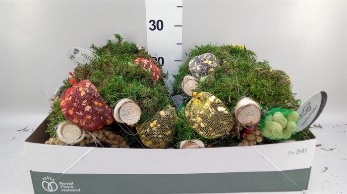 <h4>Decoratie  ..Vogelzaadfiguur</h4>