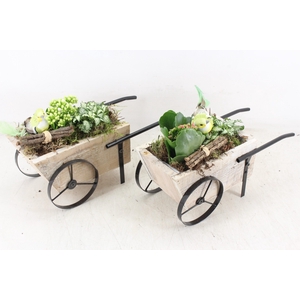 arr2 TD - Hout handkar - roze/wit