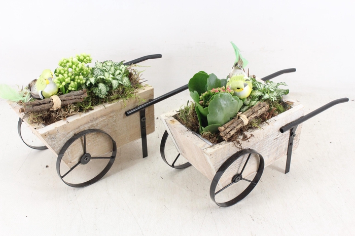 <h4>arr2 TD - Hout handkar - roze/wit</h4>