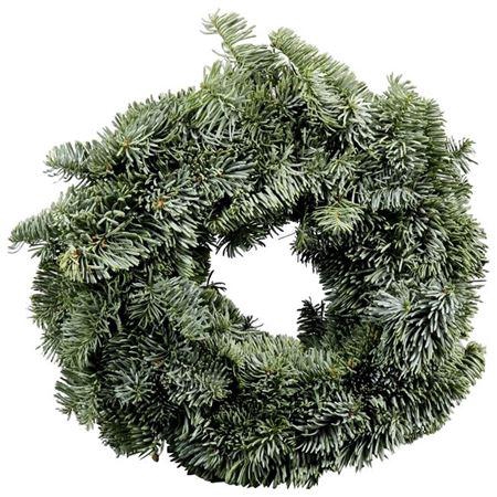 <h4>KRANS NOBILIS ROND 25 CM</h4>