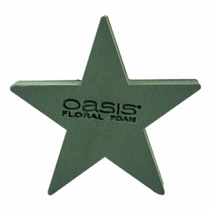 OASIS® 11-07887 BIOLINE STAR 25X25 X2