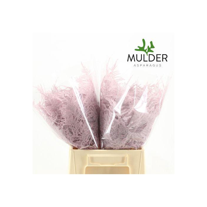 <h4>ASP OV KLB H%</h4>